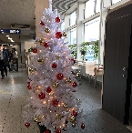 写真１２－１７　ﾓﾉﾚｰﾙ・大阪空港駅