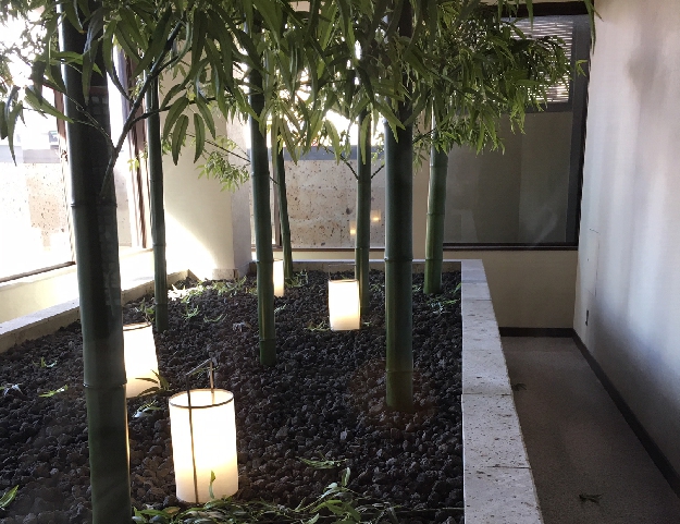 写真１５　鎌倉パスタの坪庭